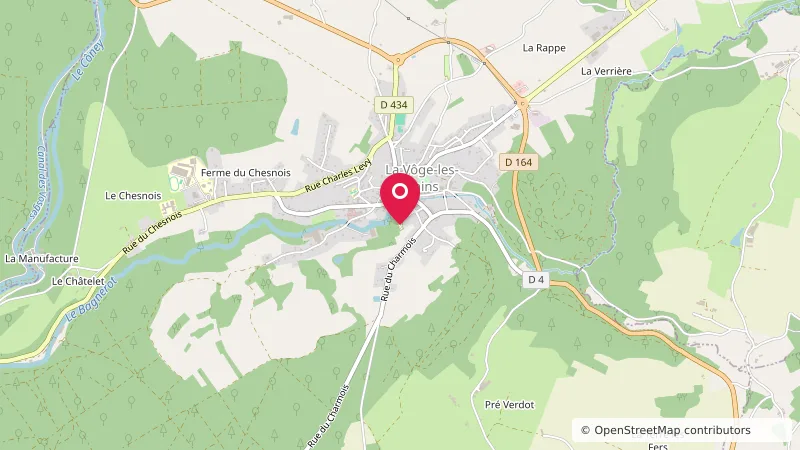 Aire CAMPING-CAR PARK de La Vôge-les-Bains, Bains-les-Bains