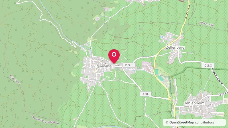 Aire d'accueil pour camping-car Riquewihr Avenue Jacques Preiss