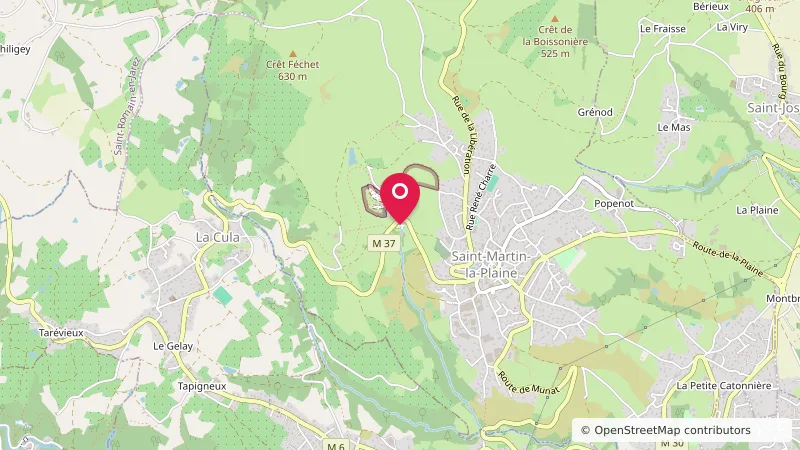 Aire de camping-car de Saint-Martin-la-Plaine
