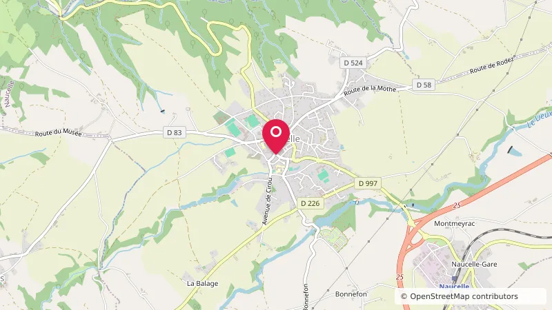 Aire de camping-car Municipale de Naucelle