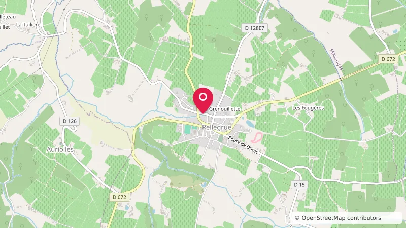 Aire de camping-cars de Pellegrue