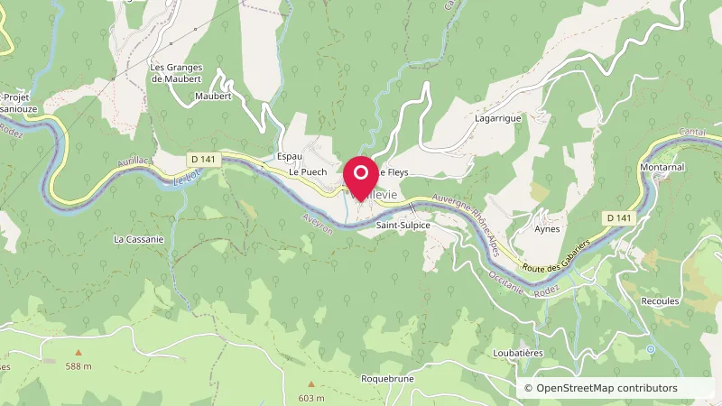 Aire de camping cars de Vieillevie