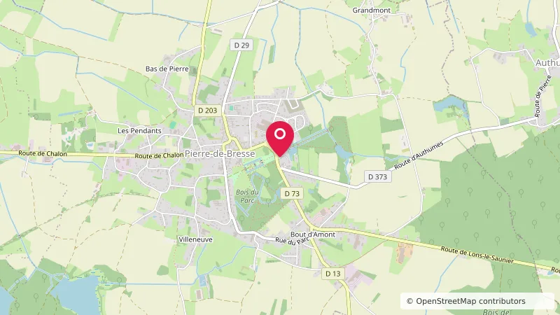 Aire de camping-cars Pierre de Bresse