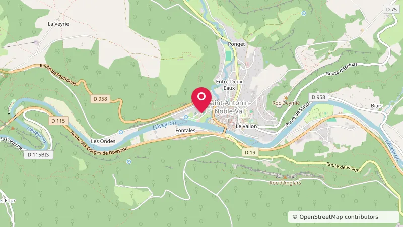 Aire de service Camping Car de Saint-Antonin-Noble-Val
