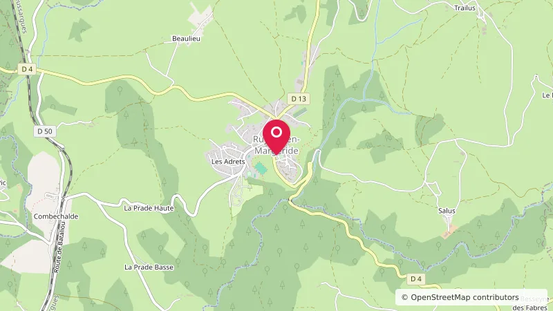 Aire de service de Ruynes en Margeride