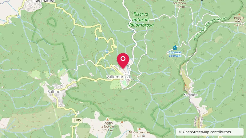 Area Camper Vallombrosa