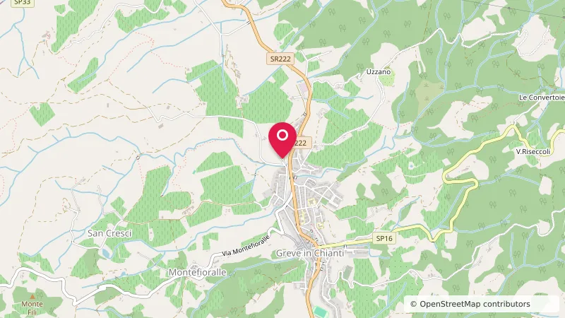 Area Sosta Camper Greve in Chianti