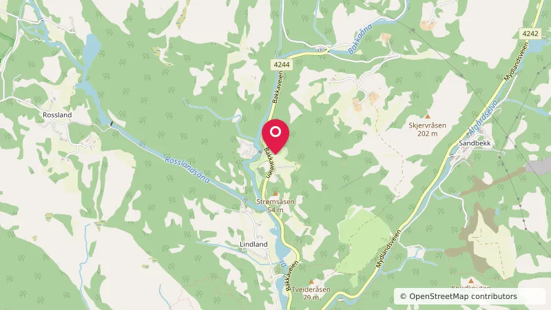 Bakkaåno Camping & Gjestegård