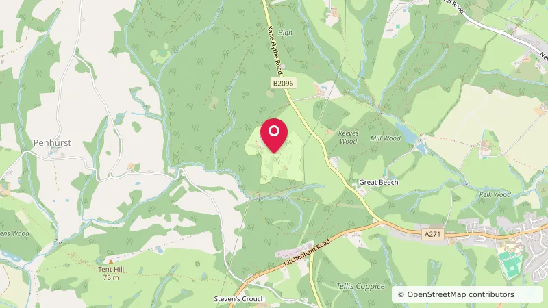 Beech Estate Campsite