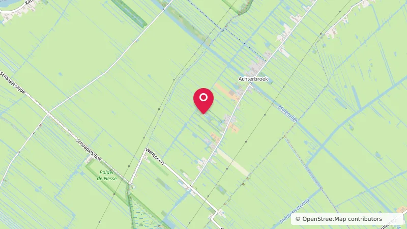 Berkenwoude