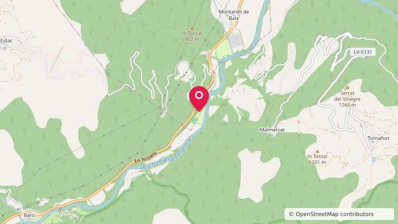 Càmping L'Orri del Pallars