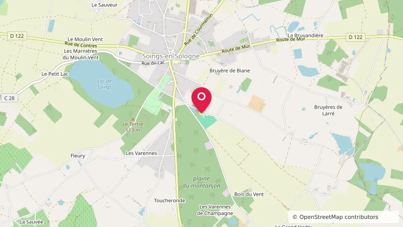 Camoing de Soings en Sologne