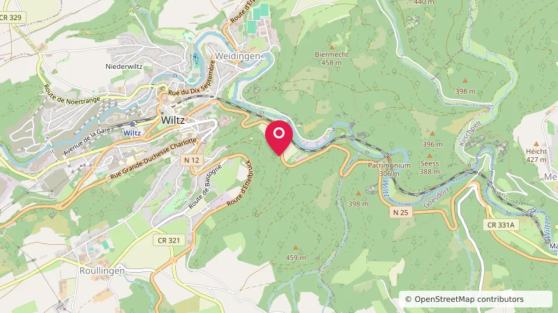 Camp 10 - Sangliers - Wild Boar - Wildschwein