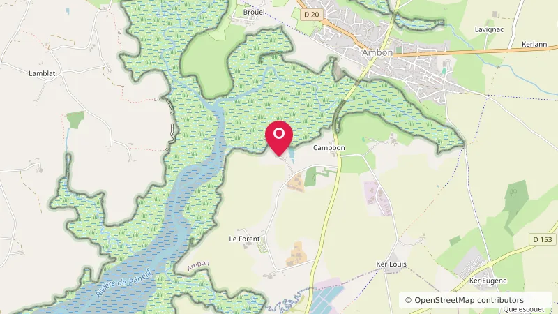 Camp air naturelle
