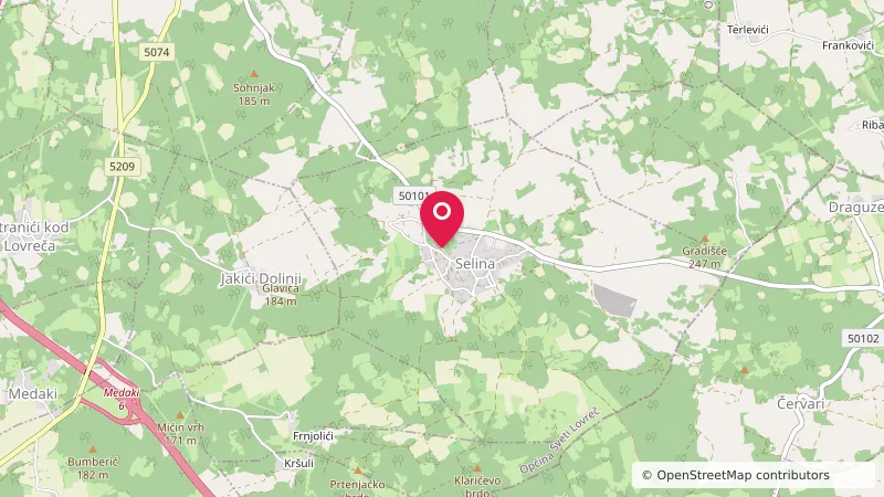 Camp Terre Selina