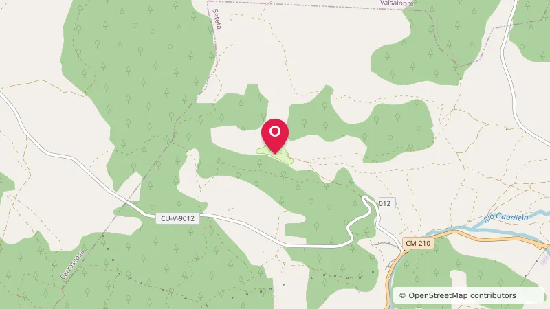 Campamento Boletus