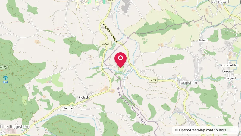 Camping Burgistein