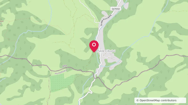 camping Cheile Cibului