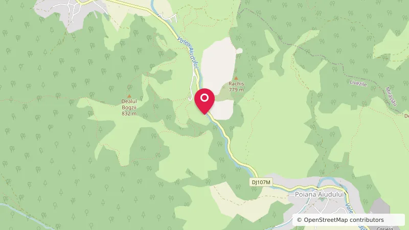Camping Cheile Trascăului