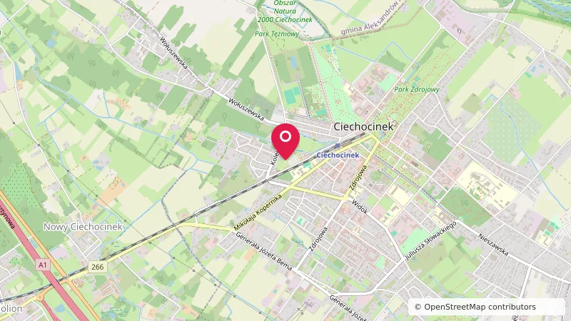 Camping Ciechocinek nr 17