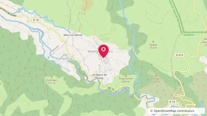 Camping de Molitg