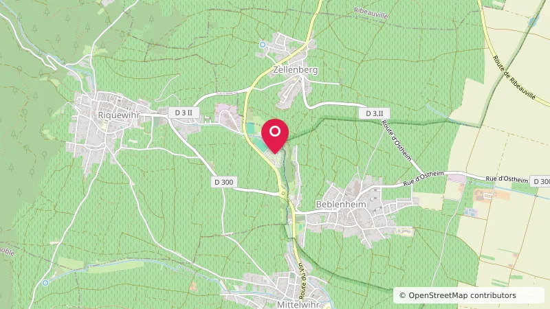 Camping de Riquewihr ****