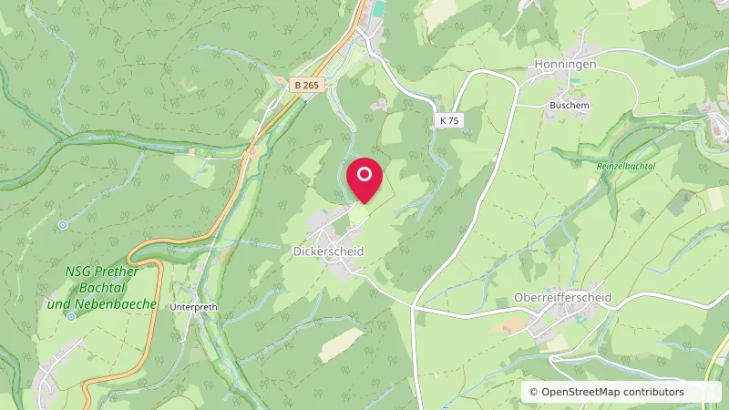 Camping Dickerscheid