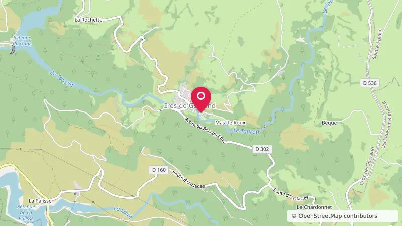 Camping du Cros-de-Géorand