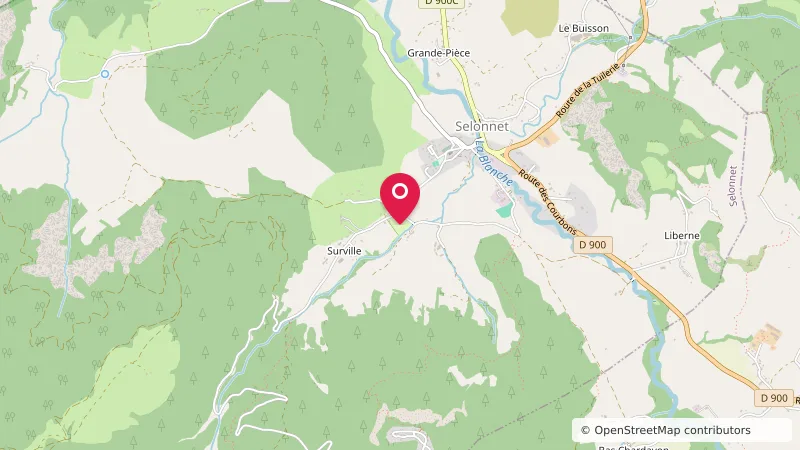 Camping GCU de Selonnet