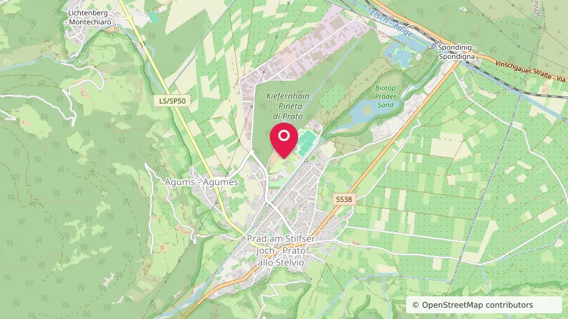 Camping Kiefernhain