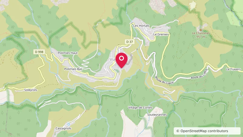 Camping la Rêverie/ La Pizzaïolette