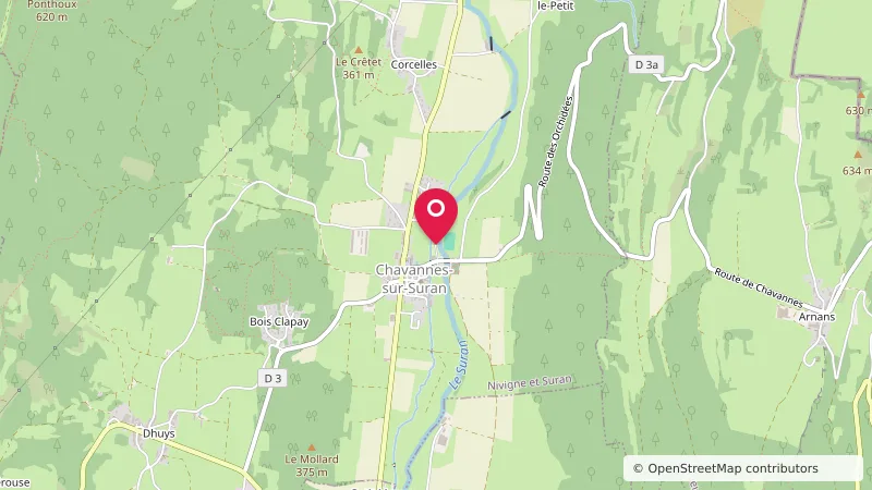Camping Municipal Chavannes-sur-Suran