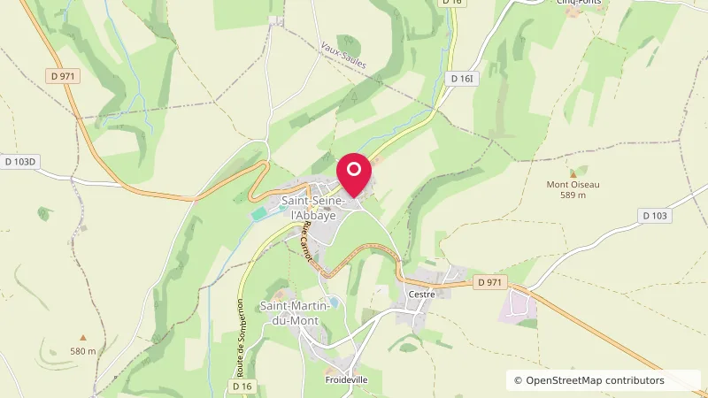 Camping Municipal de Saint-Seine-L'Abbaye