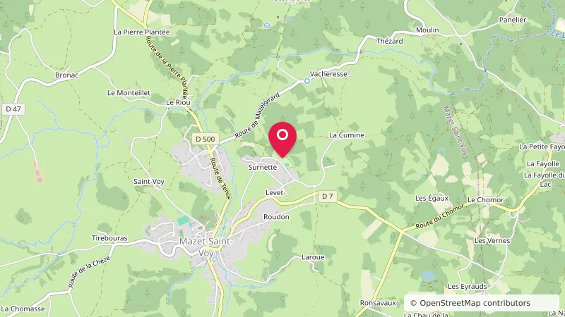 Camping municipal de Surnette