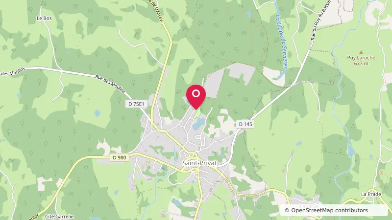 Camping municipal des Chanaux