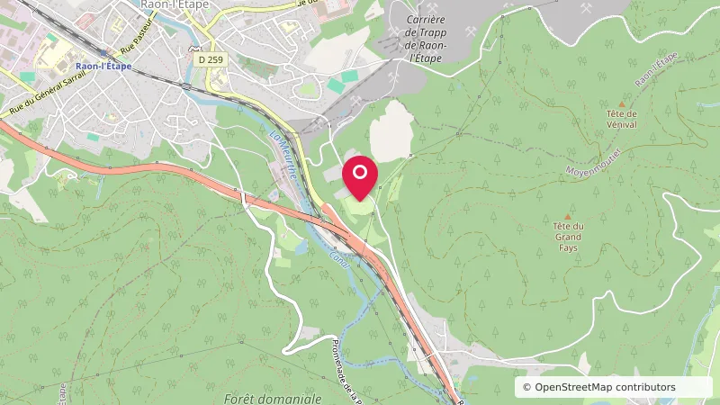 Camping Vosgina