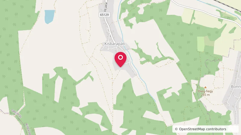 Campingplatz Ady Endre utca 46, Kisbárapáti