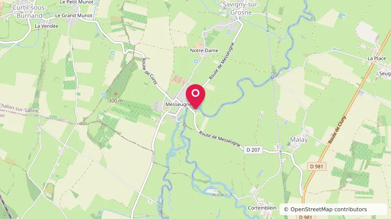 Comité d'Accueil Camping du Gué