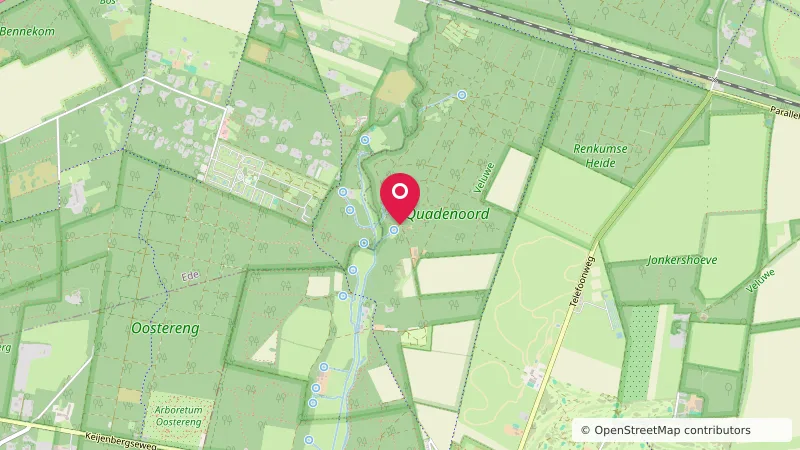 De Bruidssuite (Natuurcamping Quadenoord groepsterrein)