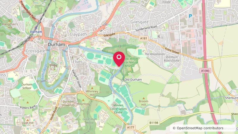 Durham Amateur Rowing Club