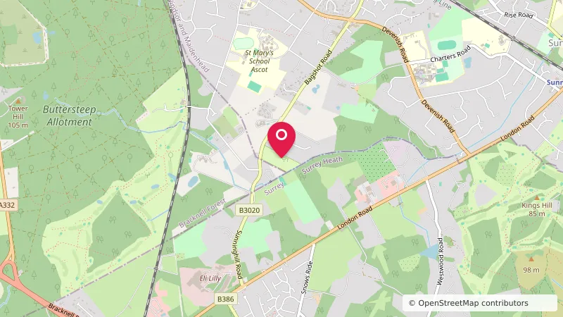 Earleywood Campsite and County Centre