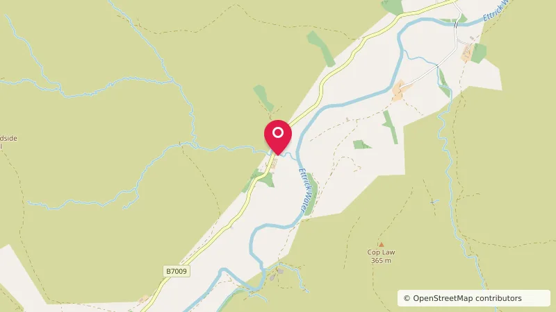 Ettrick Valley Yurts