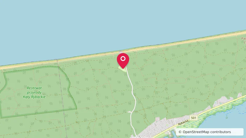 Gniazdo Kormorana