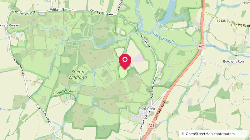 Knepp Wildland Campsite
