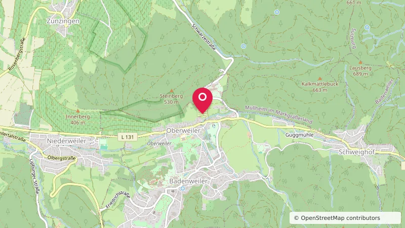 Kur- und Feriencamping Badenweiler