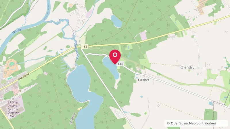 Leśne pole biwakowe