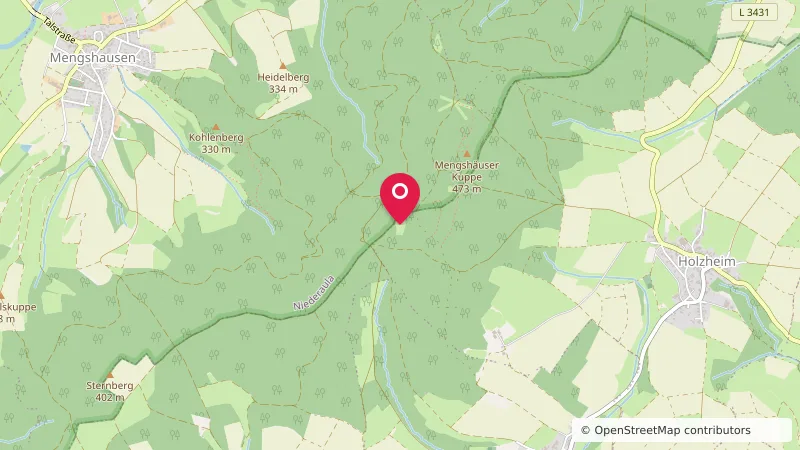 Lichtung Zeltlager Holzheim