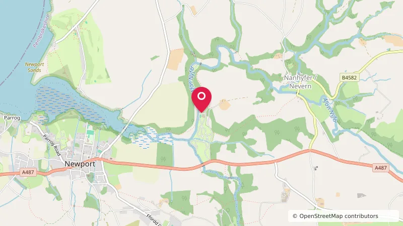 Llwyngwair Manor Caravan Park & Hotel