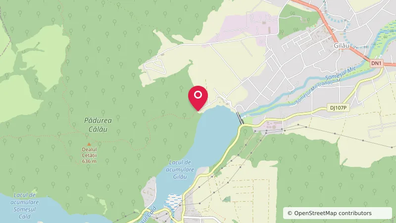 Loc de Campare din Lacul Gilău