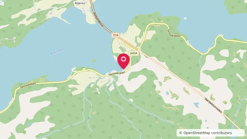 Mjønesaune Camping